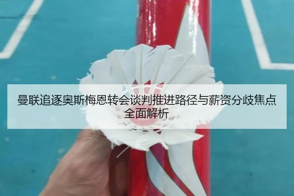 曼联追逐奥斯梅恩转会谈判推进路径与薪资分歧焦点全面解析