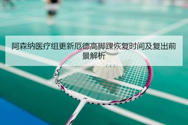 阿森纳医疗组更新厄德高脚踝恢复时间及复出前景解析
